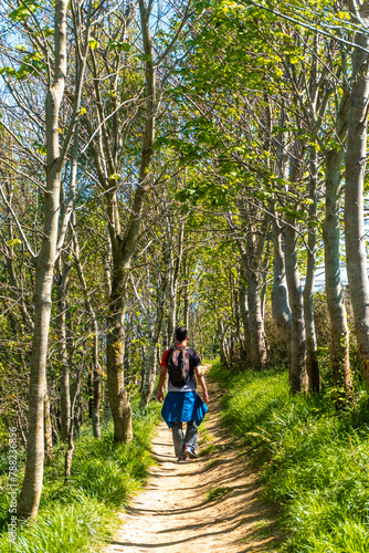 A man walking through a forest near the Zumaia flysch, Gipuzkoa. Basque Country