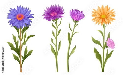 Charming Vector Illustration of Purple and Pink Asters - Generative AI