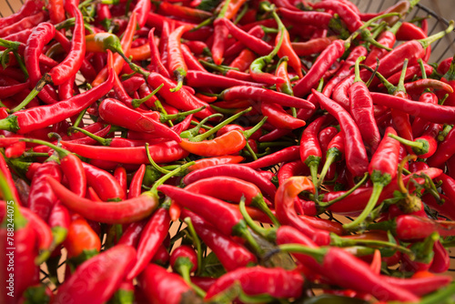 A cage of red peppers being dried