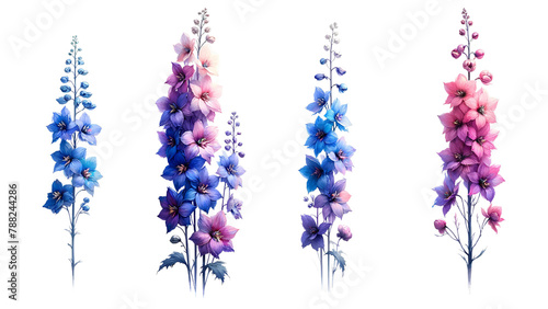 Minimalist delphinium water color painting  Object  Graphic object set.