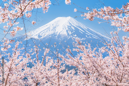 満開の桜と富士山【山梨県・富士吉田市】　
Mt. Fuji and cherry blossoms in full bloom - Yamanashi, Japan