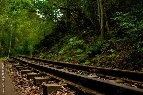 A railway in the middle of a spring forest. Mezmai Russia