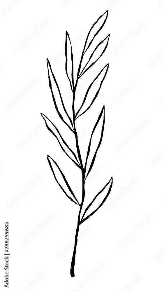 Black leaf png sticker, transparent background Black leaf png sticker, transparent background