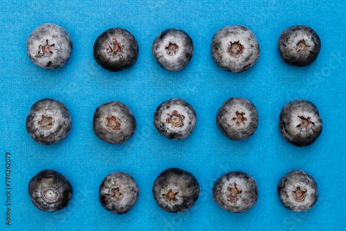 Large fresh blueberries in rows on a bright blue background