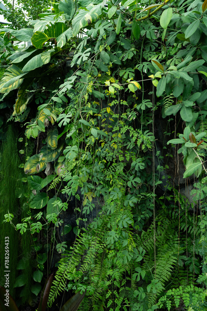 Obraz premium ジャングルのような温室