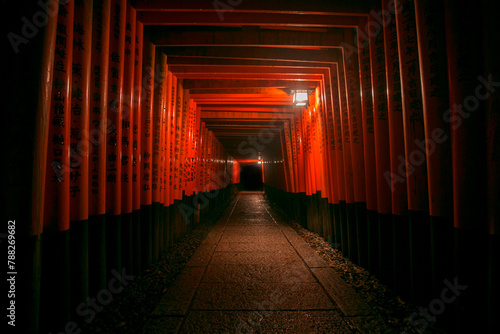 Night view of the Fushimi Inari-Taisha, the main Shinto shrine dedicated to the spirit of Inari in Kyoto. photo