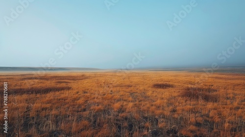 Editorial photograph highlighting the simplicity and purity of a tundra scene.