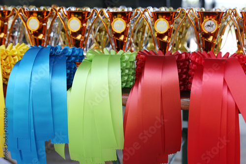     Pile of horse riding ribbons and trophy awards. Group of beautiful colorful trophies