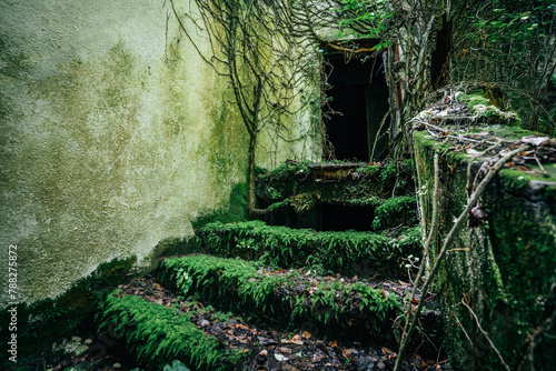 Moss-Covered Steps Leading to Abandoned Building. © DedMityay