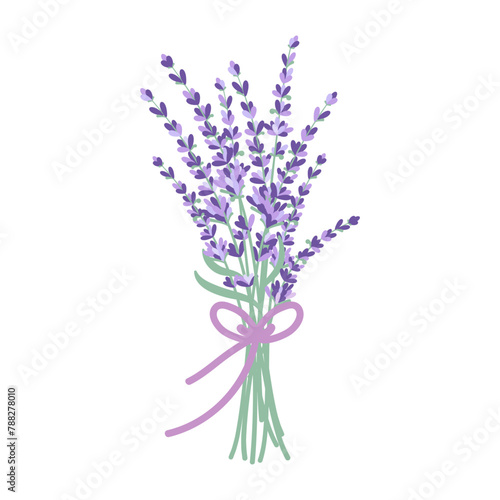 Bouquet of lavender with a bow. vector illustration in flat style isolated on white background