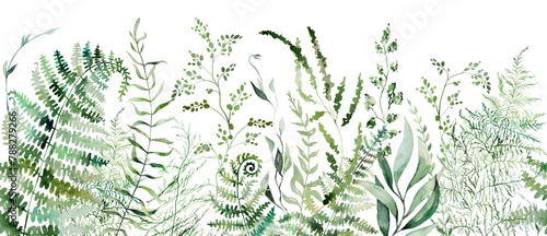 Seamless border with Watercolor fern and botanical green leaves isolated illustration, wedding
