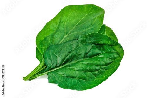 Tree green spinach leaves isolated on white background