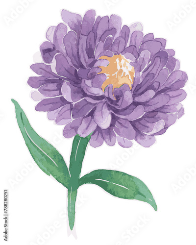 Purple aster flower transparent png watercolor sticker photo