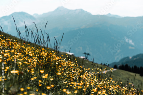 Alpnelandschaft im Sommer in den Schweizer Alpen, Graubünden photo