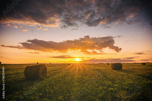 A field with haystacks on a summer or early autumn evening with a cloudy sky. Procurement of animal feed in agriculture. Rural landscape at sunset or sunrise. © Eugene_Photo
