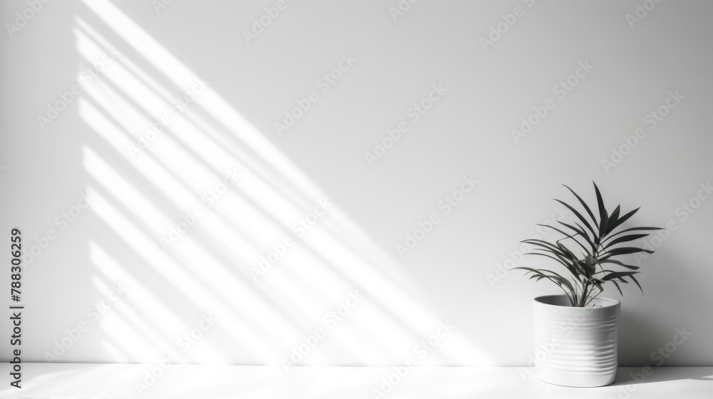 empty bright room wall, free space, background, copy space, design empty bright room wall, free space, background, copy space, design