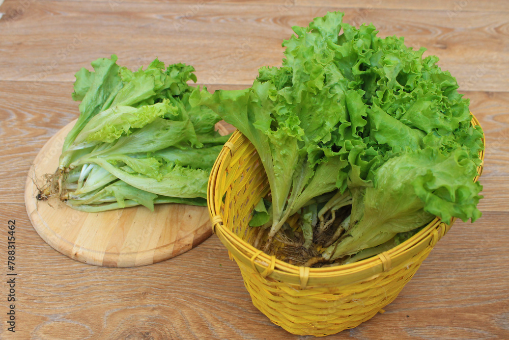 fresh green lettuce in a basket fresh green lettuce in a basket