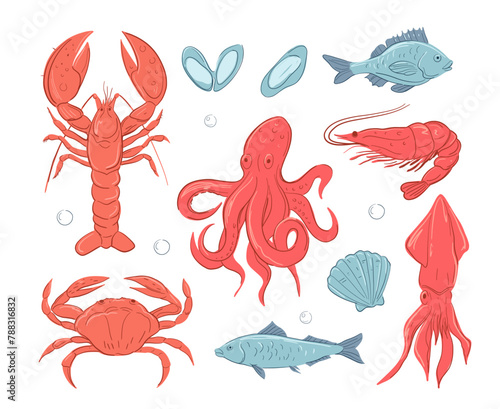 Seafood. set of vector  illustrations, crab, lobster, shrimp, fish