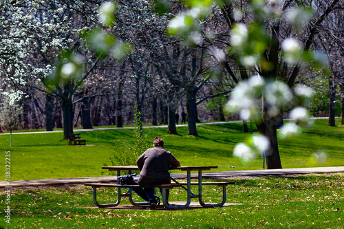 A person sitting at the bench enjoying the Warm Spring day at Otsiningo Park in Broome County in Upstate NY.  Binghamton park is in full bloom with the Dogwood trees.