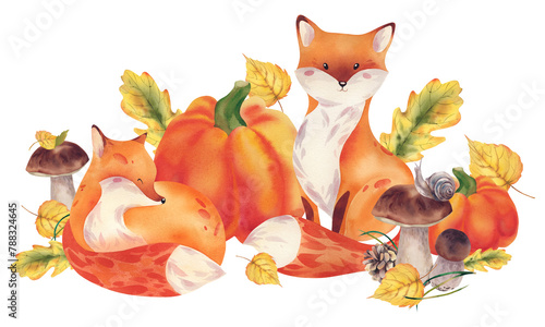 Watercolor foxes sleeping near pumpkins, yellowed oak and aspen leaves, mushrooms and autumn flora. The illustration is hand painted. A pattern with cute, baby animals on a white background.