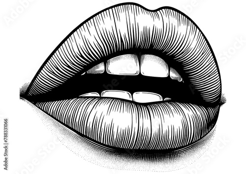 sensual female woman full lips sketch engraving generative ai fictional character PNG illustration. Scratch board imitation. Black and white image. photo