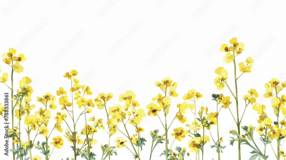 White banner with showy rapeseed plant and place for