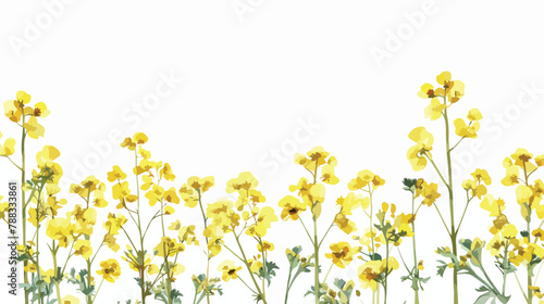White banner with showy rapeseed plant and place for