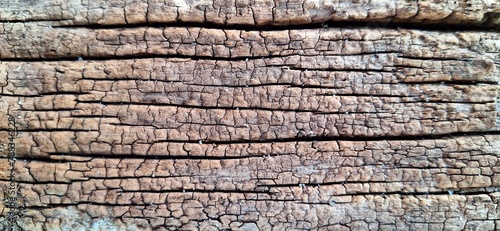 old wood texture Wooden lignin deep rough pattern template