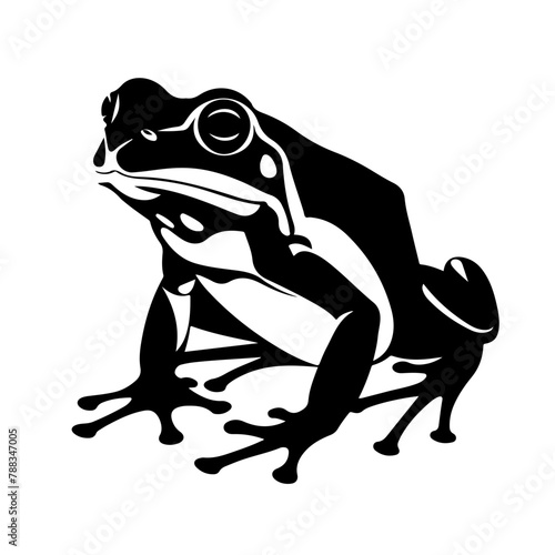 frog on white background