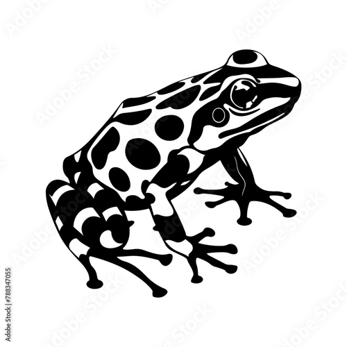 frog on white background