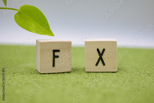 緑の絨毯に置かれたFXの文字ブロック