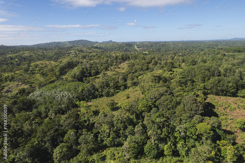 Green hills landscape