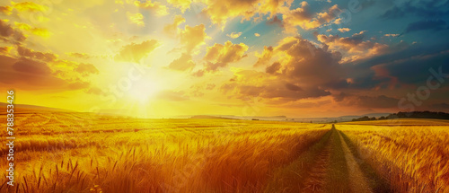 A field of golden wheat with a sun in the sky © Toey Meaong