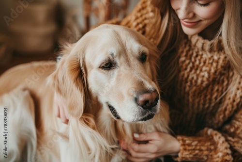 Shared moments. Back view of female blonde caressing furry dog behind ears during leisure time at cozy apartment. Young woman and golden retriever enjoying bonding interaction together during daytime.