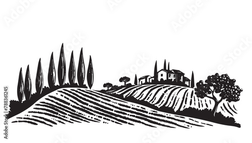 Vineyard landscape, Sketch, hand drawn illustrations. 