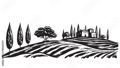 Vineyard landscape, Sketch, hand drawn illustrations. 