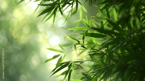The gentle rustle of bamboo leaves in the breeze  creating a soothing symphony of nature sounds