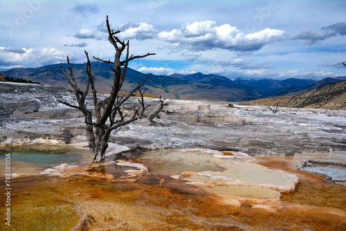 Mammoth Hot Springs - a large complex of hot springs on a hill of travertine in Yellowstone National Park adjacent to Fort Yellowstone (Park County, Wyoming, United States) photo
