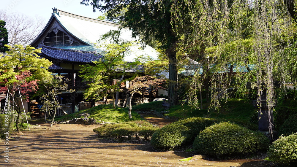 日本庭園　喜多院