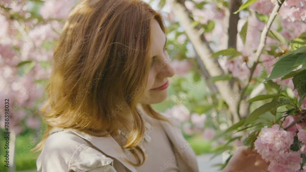 beautiful young red-haired woman touches and strokes blooming sakura or cherry blossom flowers. A girl walks in the park and enjoys the spring mood beautiful young red-haired woman touches and strokes blooming sakura or cherry blossom flowers. A girl walks in the park and enjoys the spring mood
