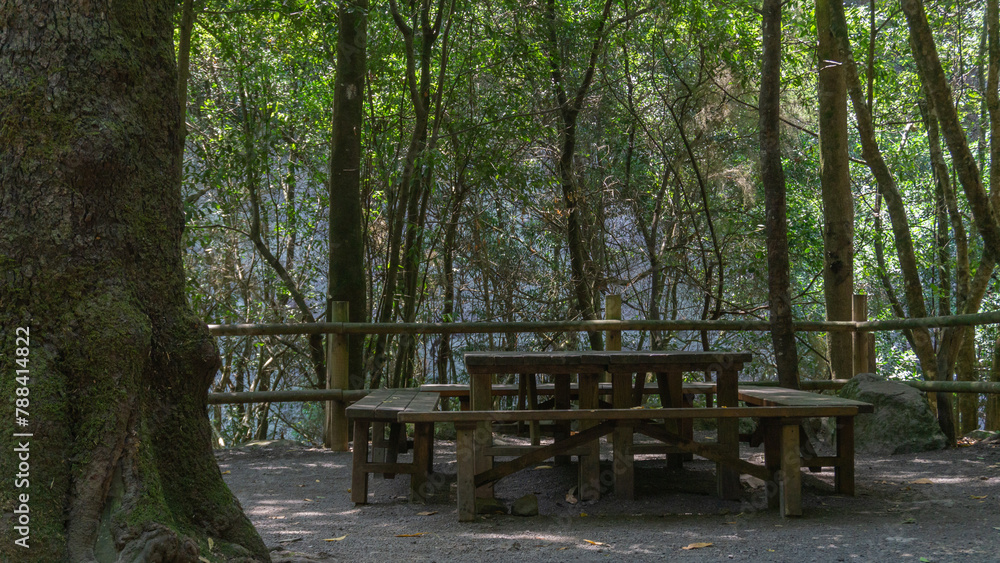 Serene Woodland Retreat: A Perfect Picnic Getaway Serene Woodland Retreat: A Perfect Picnic Getaway