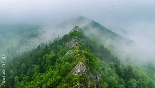 A mountain covered in trees and fog by AI generated image