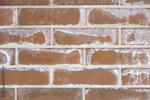Brick wall with white salt stains