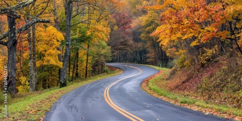 A scenic drive through winding roads with colorful autumn foliage, showcasing the beauty of the season. 