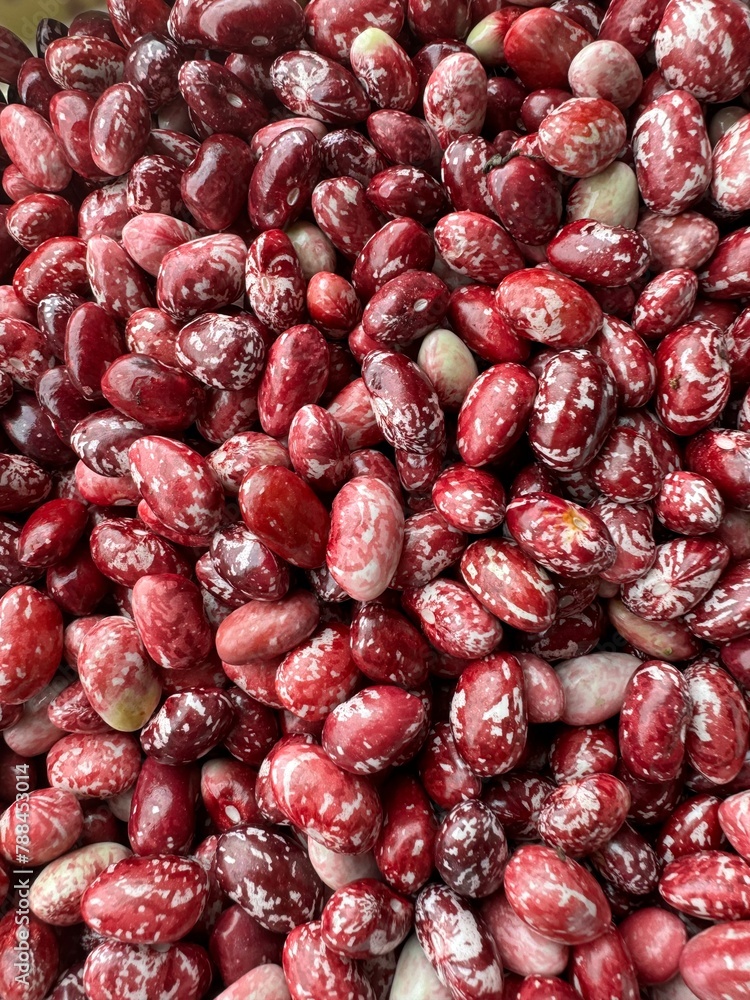 red kidney beans food red kidney beans food