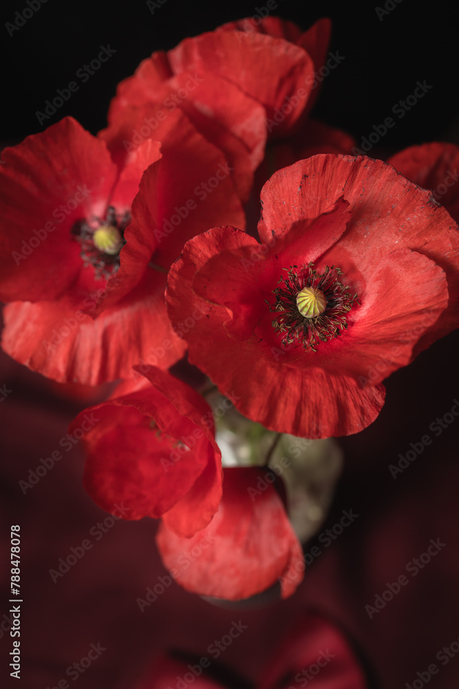 Beautiful bouquet of fresh poppies in a vase against a dark background Beautiful bouquet of fresh poppies in a vase against a dark background