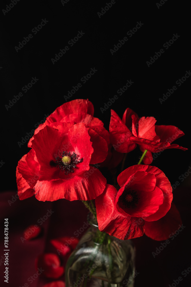 Beautiful bouquet of fresh poppies in a vase against a dark background Beautiful bouquet of fresh poppies in a vase against a dark background