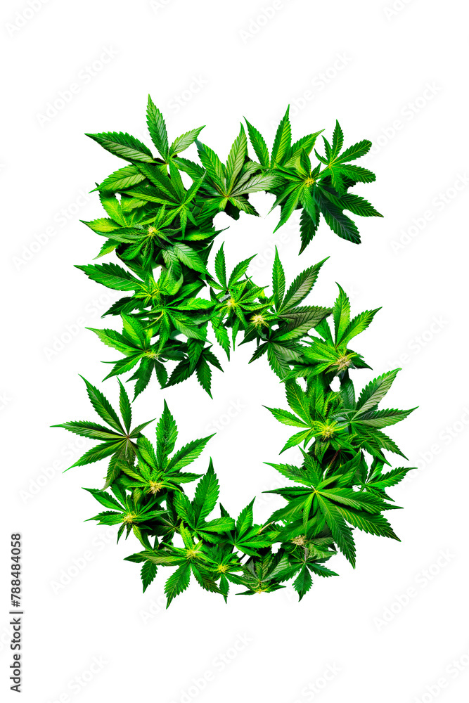 An number 5 is intricately formed using vibrant green cannabis leaves, creating a natural and unique display. Alphabet. Isolated. An number 5 is intricately formed using vibrant green cannabis leaves, creating a natural and unique display. Alphabet. Isolated.