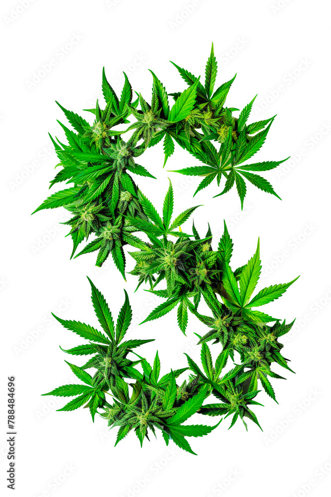 Bunch of green plants arranged to form an English alphabet letter S made from cannabis leaves. Alphabet. Isolated. Bunch of green plants arranged to form an English alphabet letter S made from cannabis leaves. Alphabet. Isolated.