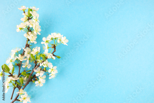 Spring flowering trees. photo